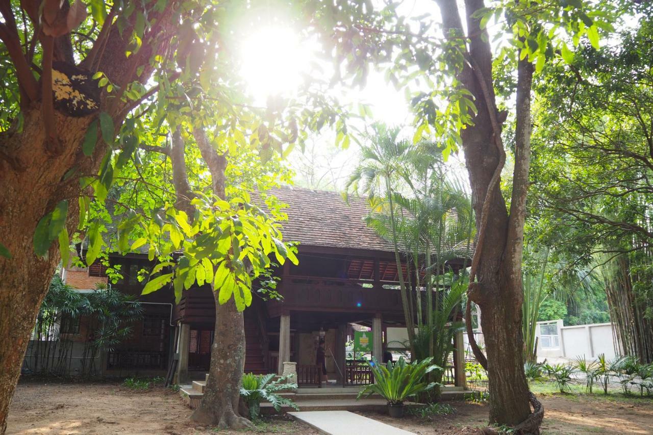Insight Hostel Chiang Mai Eksteriør billede
